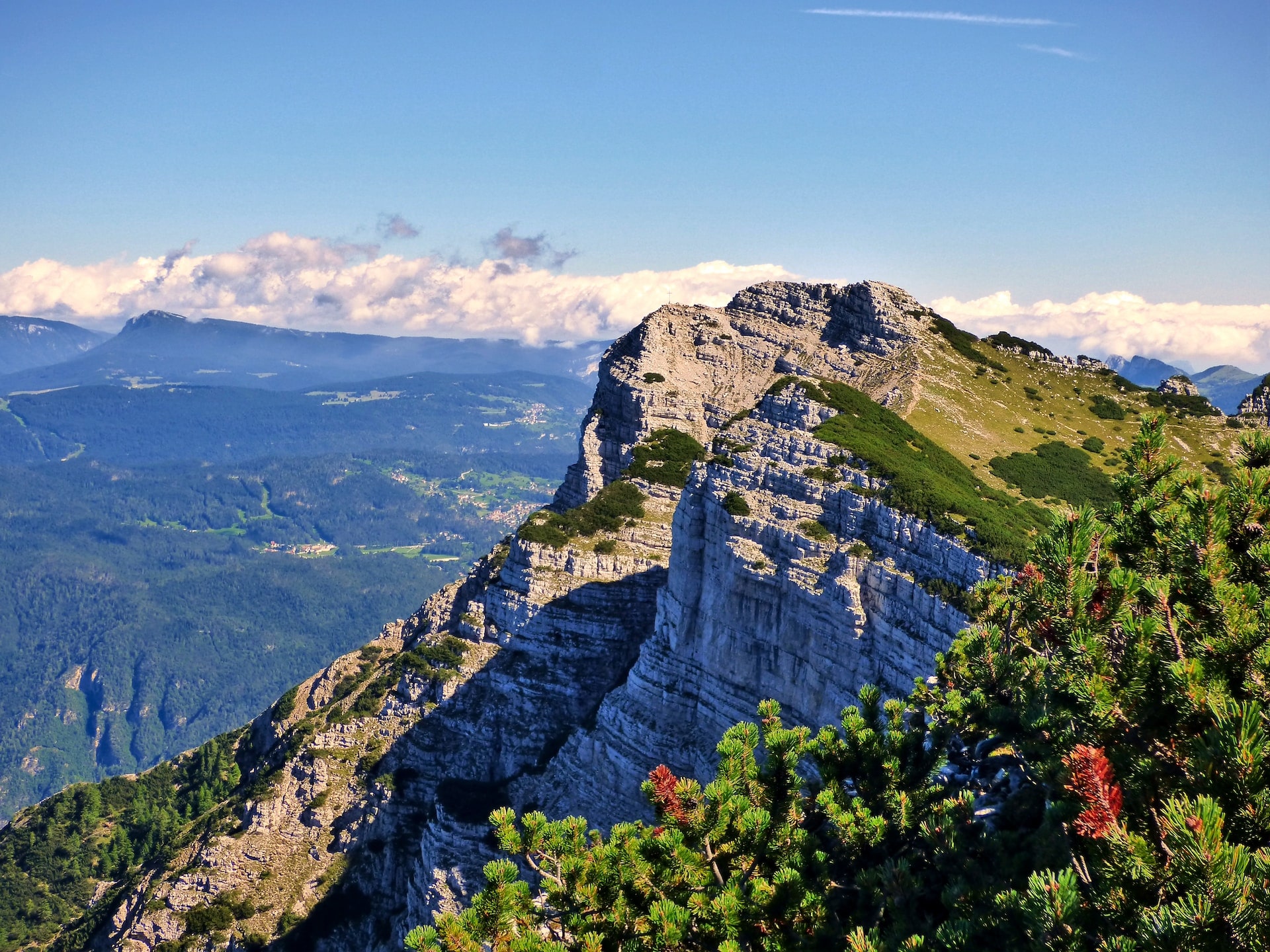 Landscape photo of a cliff covered of vegetation under the blue sky.